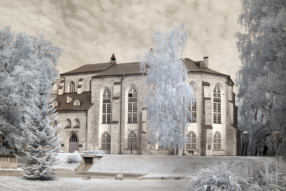 Домский собор в Тарту: фото реконструкция