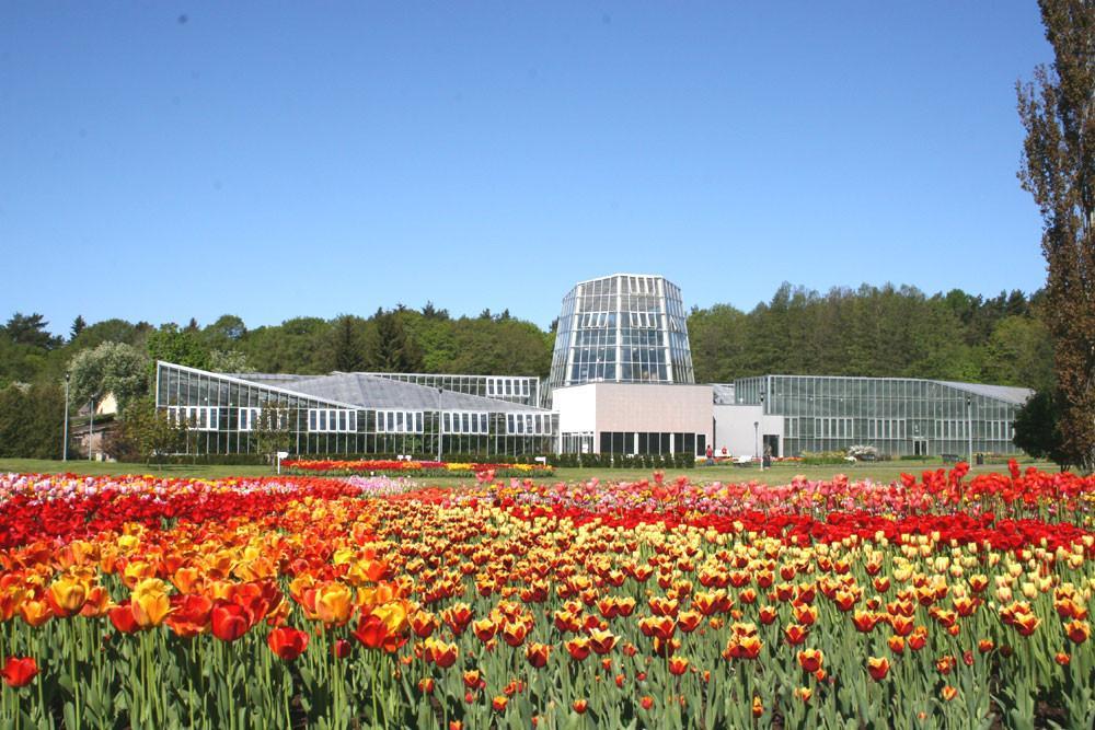 Таллинский ботанический сад