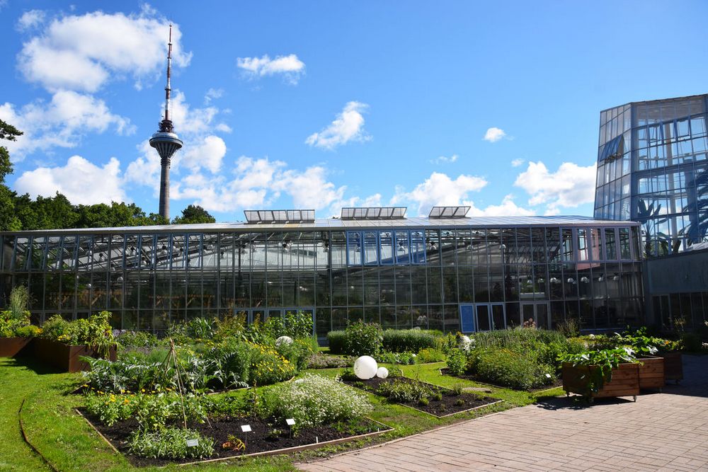 Ботанический сад Таллина