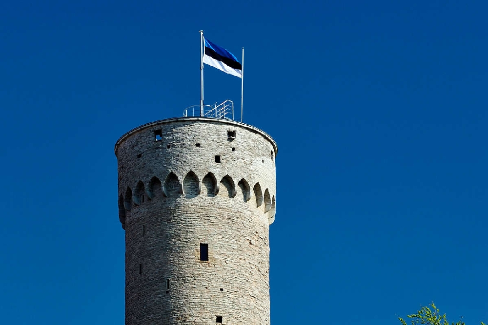 Башня Длинный Герман Таллин