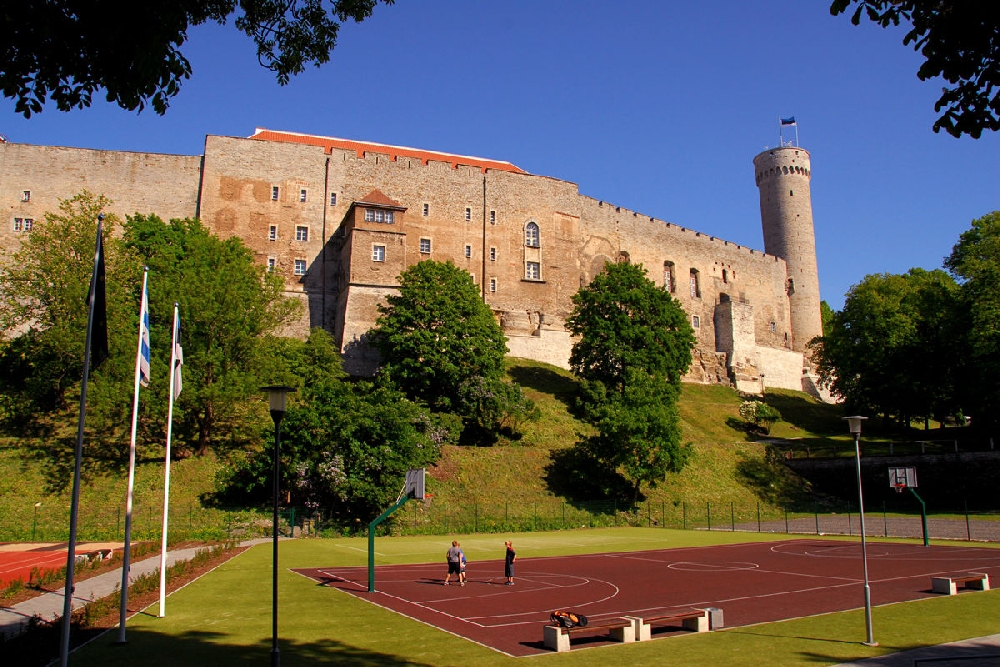 Панорамный вид: замок Тоомпеаа и башня длинный Герман