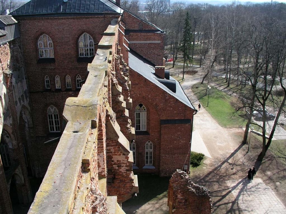 Смотровая площадка Тартуского Домского собора
